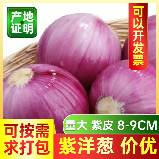 昆明紫洋葱 云南直发 可按需求打包供货
