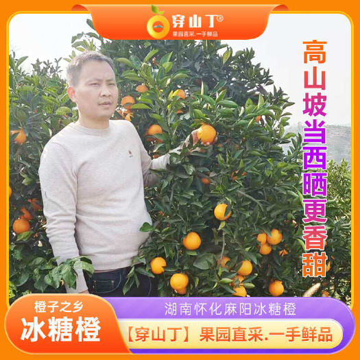 怀化怀化正宗麻阳冰糖橙子高山当西晒老树冰糖橙更好吃