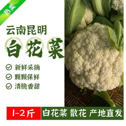 昆明白花菜 散花 云南直发 产地大量上市