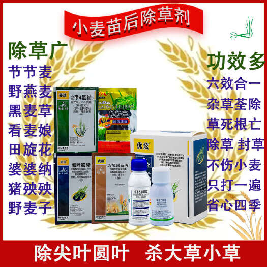 长沙小麦除草剂节节麦一年生阔叶禾本科杂草野燕麦苗后全能专用除草剂