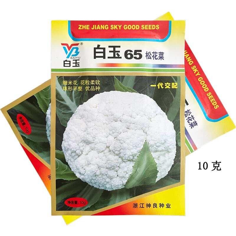 白玉65松花菜种子 早中熟 耐热耐湿 蕾枝浅青梗 甜脆好吃