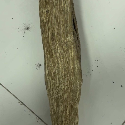 天然沉香虫漏