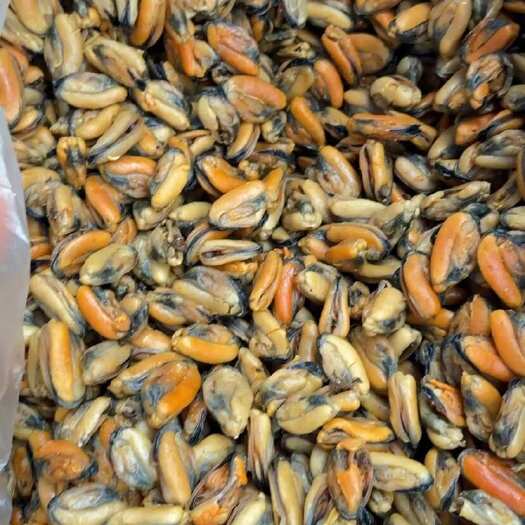 北海特大淡菜 海红 青口 110头 34斤一箱