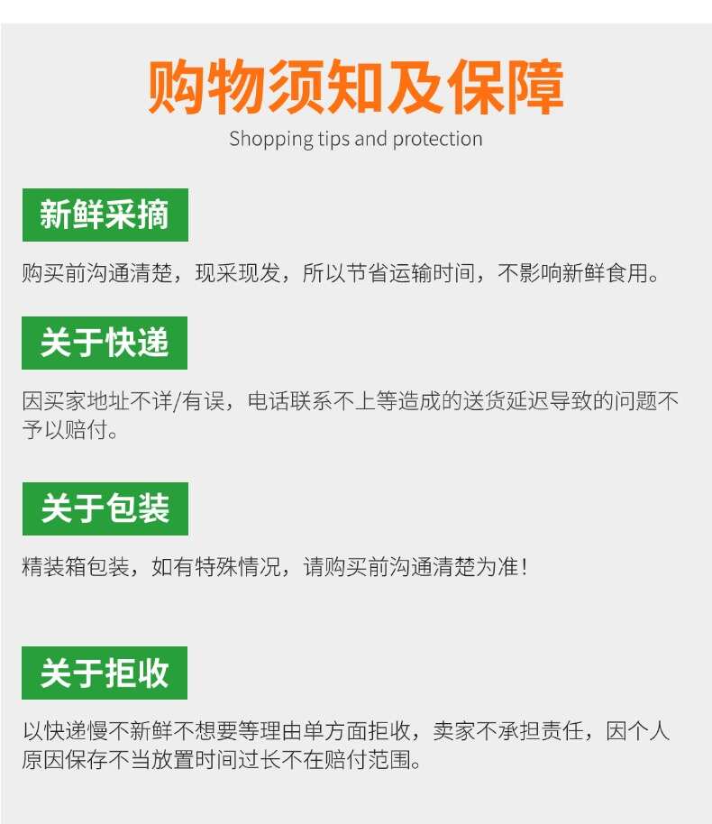 广东佛山高明基地，板蓝根作用菜心，基地直发，品质保证