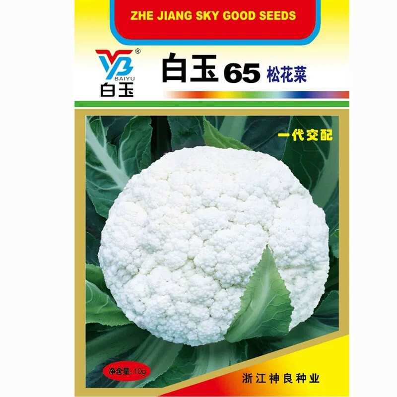 白玉65松花菜种子 早中熟 耐热耐湿 蕾枝浅青梗 甜脆好吃
