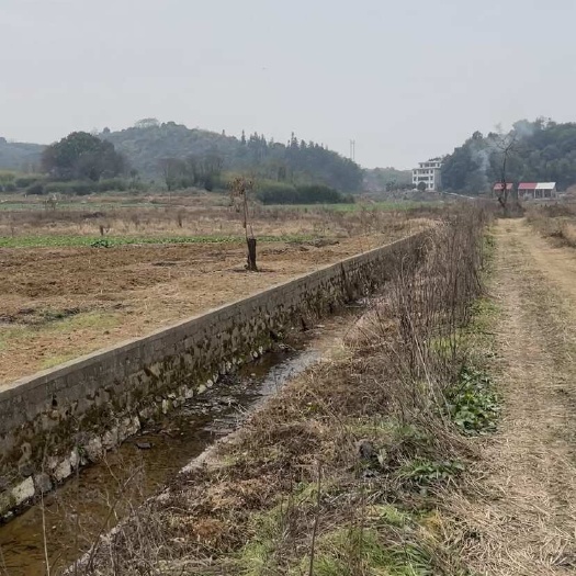 衡阳县衡阳800亩农田流转出租