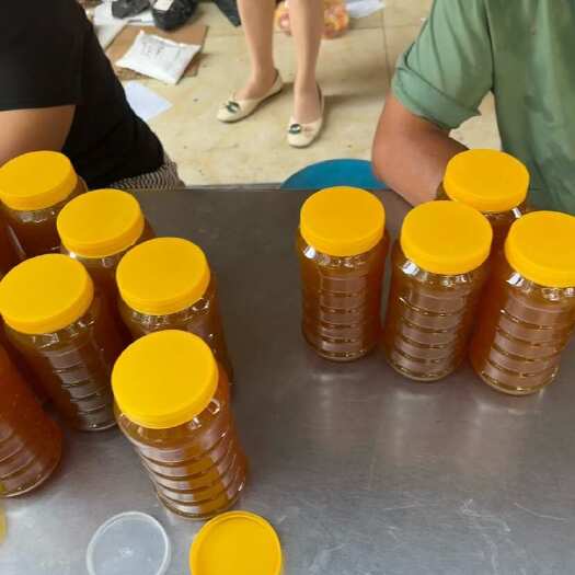 衡南县衡南县兴荣土蜂百花蜜可以批发