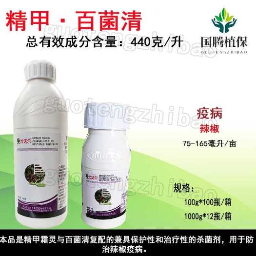丰县浙江中山欣诺尔440克/升精甲·百菌清辣椒疫病菲格杀菌剂