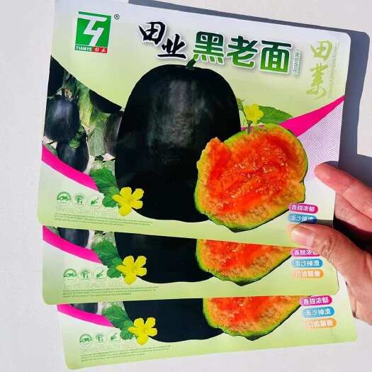 建瓯市黑老面甜瓜种子 黑皮面瓜种子 香甜浓郁 面沙掉渣口齿留香