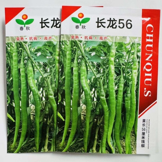 建瓯市长龙56线椒种子 长果线椒种子 薄皮香辣  果实无渣
