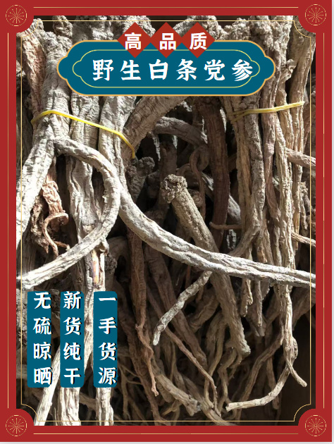 漳县高品质正品白条党参甘肃产地直发一手货源无硫精选规格齐全