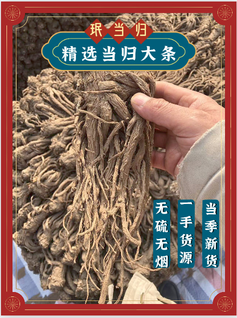 漳县精品甘肃产地直销无硫当归大条规格齐全保质保量包邮