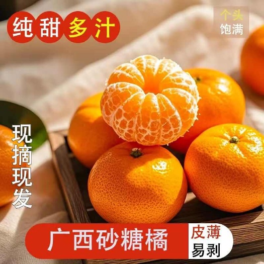 荔浦市广西沙糖桔口感纯甜，皮薄果甜，产地直发，规格齐全