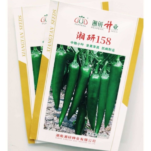 建瓯市湘研158牛角椒种子 辣味中等 果皮光滑 顺直无皱