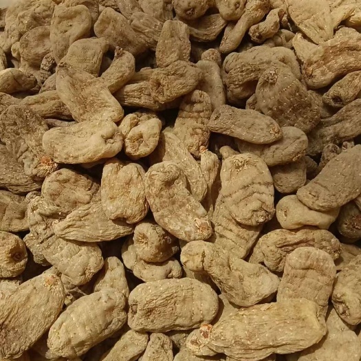 彝良县云南昭通小草坝干天麻正品一手货源