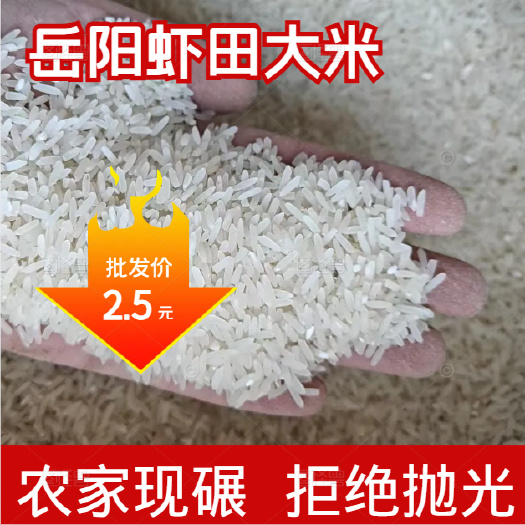 湖南岳阳籼米 优质大米 晚稻【产地直发】【精品】
