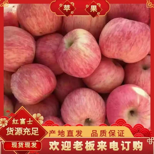 山东优质红富士苹果口感脆甜多汁 产地直供