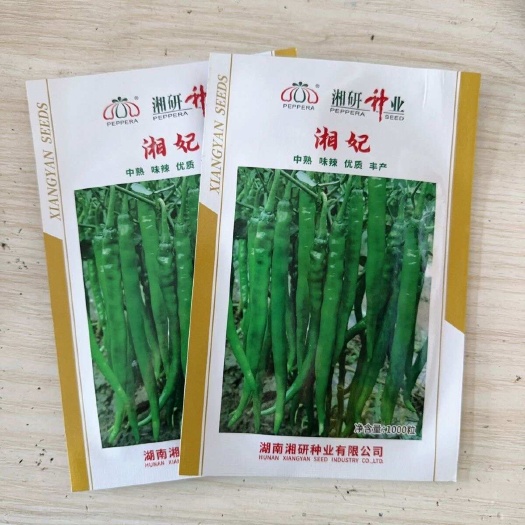 建瓯市湘妃线椒种子 中熟味辣 皮薄香味浓 肉质脆嫩