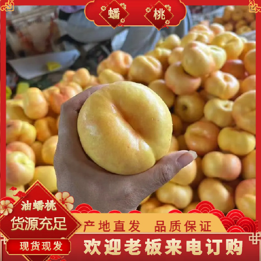 山东精品油蟠桃 口感脆甜 产地直发 实力供应