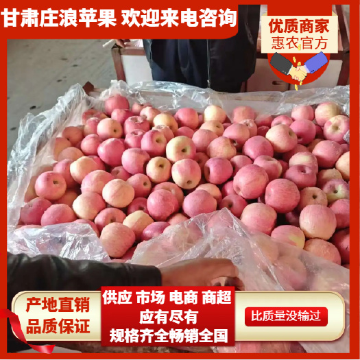 甘肃庄浪县红富士苹果 产地新鲜直发 量大从优