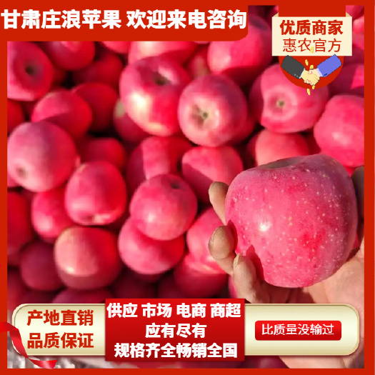 精品红富士苹果 优质服务 规格齐全 供应各大市场