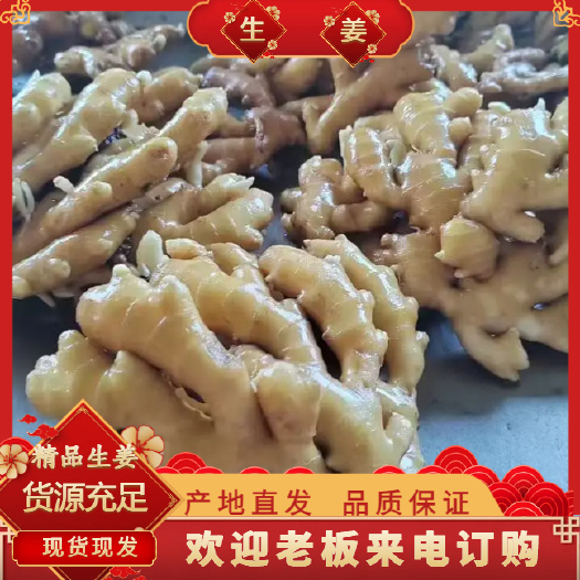 山东水洗风干大黄姜,产地一手货源,大量有货,欢迎老板考察采购