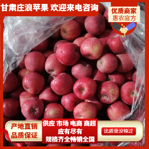 精品甘肃红富士 冰糖心苹果 口感脆甜多汁 全国发货