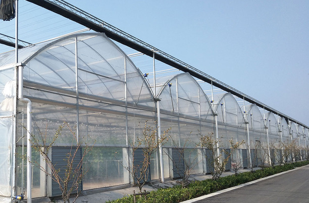 衡阳专营大棚管材⭐大棚骨架⭐大棚材料⭐养殖大棚⭐种植大棚⭐连栋棚