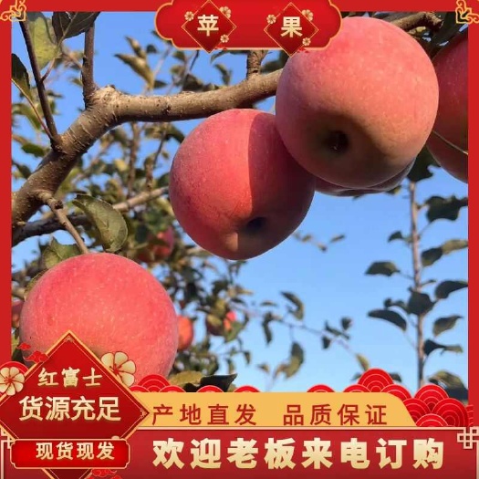 蒙阴县山东精品红富士苹果 常年供应 全国发货