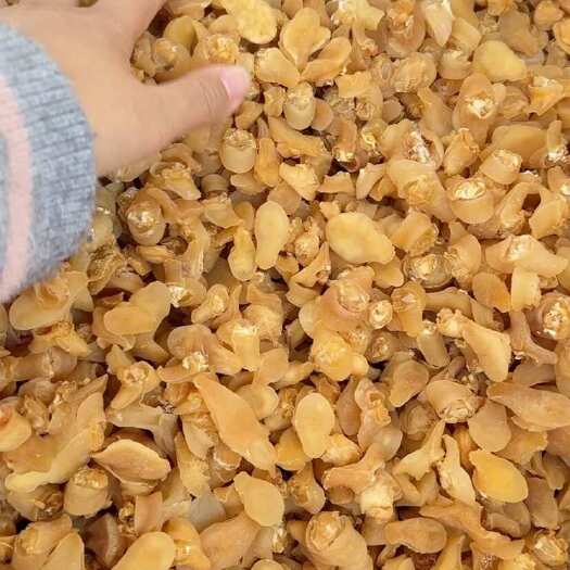 北海珍珠鲍螺干货批发 海螺肉 罐头螺原料 大量优惠
