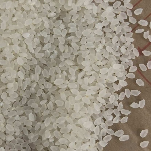 东北珍珠米 新米 量大从优 欢迎联系