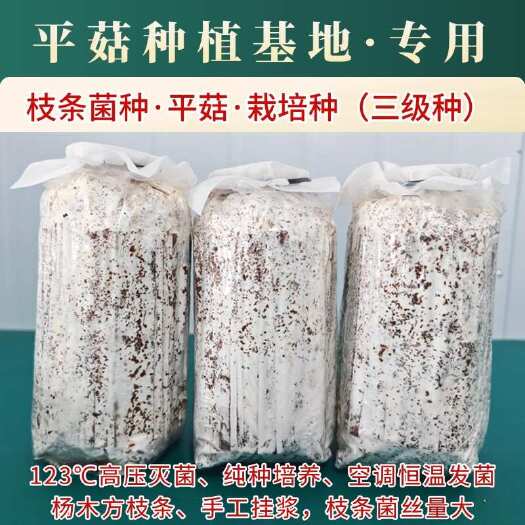唐县枝条菌种，平菇菌种栽培种三级种