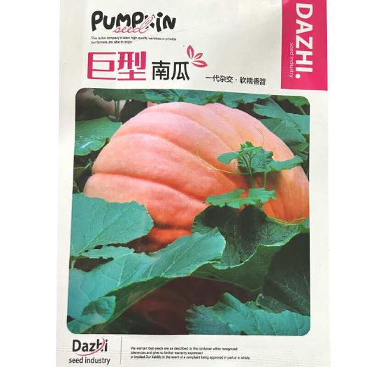 巨型大南瓜种子 一代杂交 软糯香甜 观赏兼食用