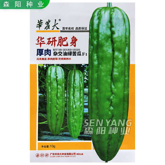 常德华农大华研肥身厚肉杂交油绿苦瓜种子耐裂抗病耐雨水春秋季中早熟