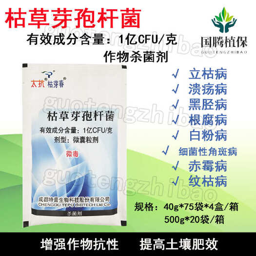 丰县太抗枯芽春 枯草芽孢杆菌草莓白粉立枯病根腐病赤霉病微生物菌剂