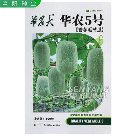 常德华农大华农5号香芋毛节瓜早熟短圆筒形迷你小冬瓜春秋季绿星冬瓜