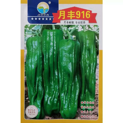 漯河月丰916薄皮椒种子 皱皮椒种子 皮薄肉脆 彭果速度快