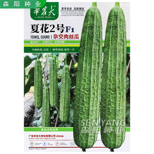 华农大夏花2号杂交肉丝瓜种子富丽春夏秋季耐高温花点棱丝瓜翠丽