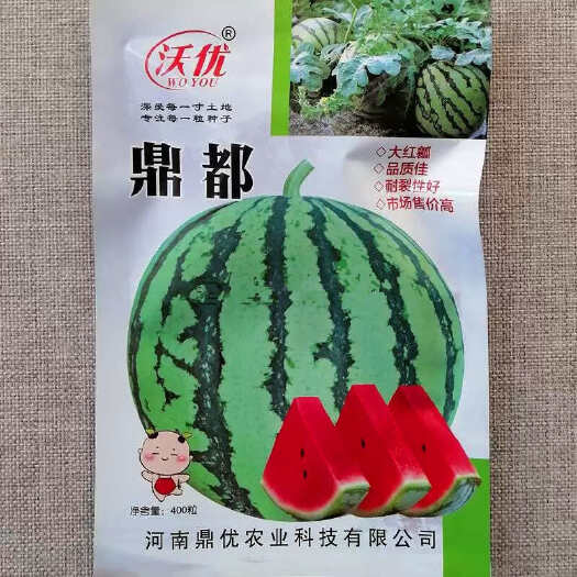 漯河鼎都西瓜种子 大红瓤耐裂性好 单瓜重8公斤左右