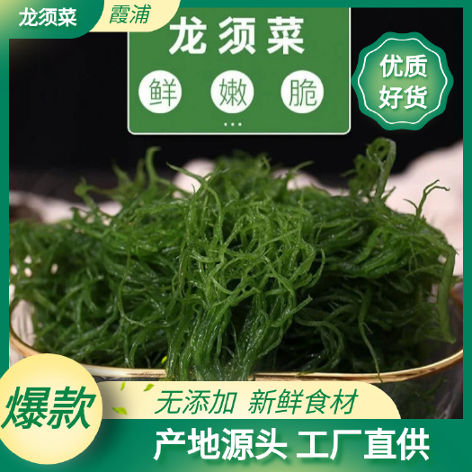 福建霞浦特产盐渍龙须菜新鲜海藻石花菜鹿角菜凉拌煮汤火锅食材