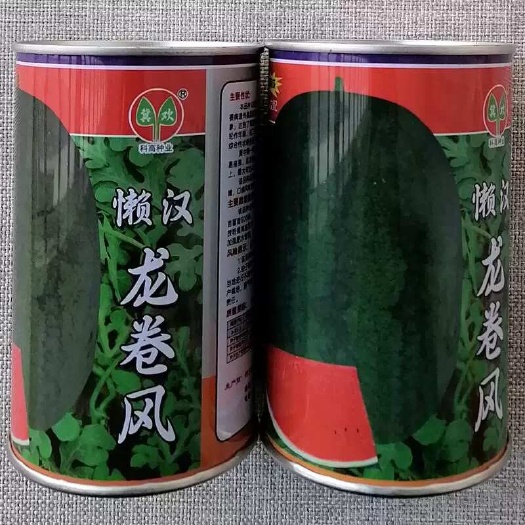懒汉龙卷风西瓜种子 高抗枯萎病  大红瓤 甜度高