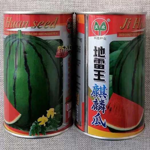 漯河地雷王麒麟西瓜种子 耐低温耐弱光 抗病耐重茬 瓤色红