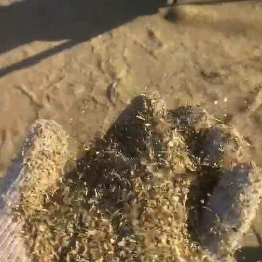 浚县花生秧 花生秧叶粉