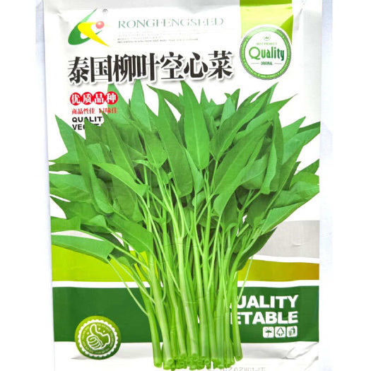 建瓯市泰国柳叶空心菜种子 柔嫩味美 生长速度快 抗病抗虫
