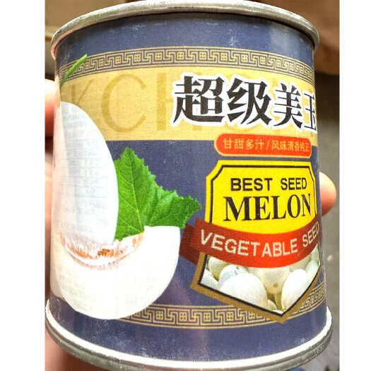 建瓯市超级美玉甜瓜种子 白皮白籽白瓤 不裂果质脆 味甘甜可口