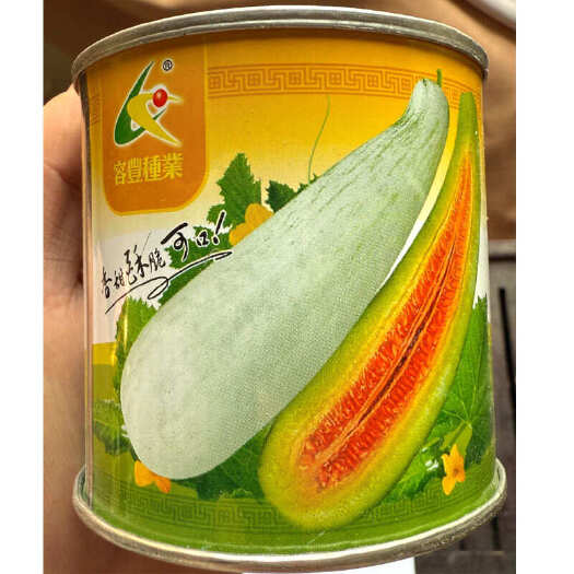 建瓯市特大羊角蜜甜瓜种子 酥瓜种子 果肉绿色 香甜脆酥嫩多汁