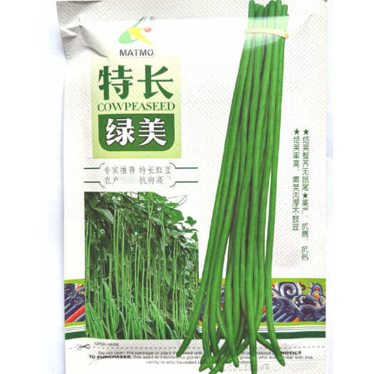 建瓯市特长绿美豇豆种子 结荚整齐无鼠尾 抗病抗热 肉厚不鼓豆