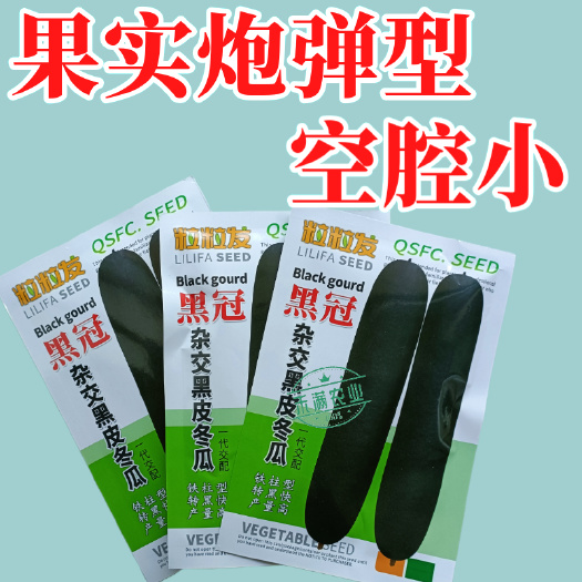 武汉黒冠杂交黑皮冬瓜种子  广东广西特大巨型高产铁柱型黑皮冬瓜种