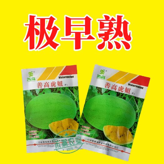 武汉善高礼品黄瓤西瓜种子早熟黄心冰糖瓜种籽超甜西瓜种孑甜王西瓜籽