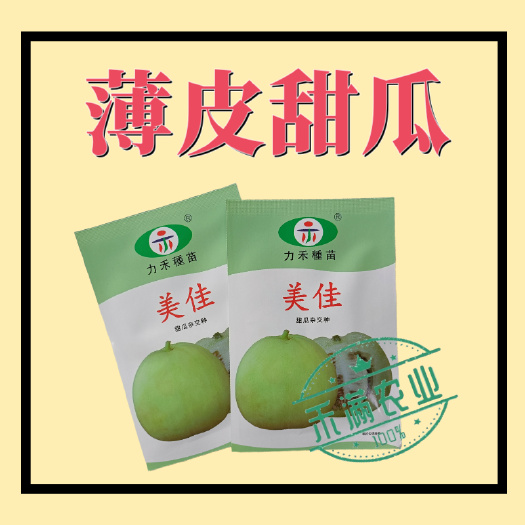 武汉美佳甜瓜种子白皮白绿肉甜度高香味浓香香瓜种子口感细腻抗病高产
